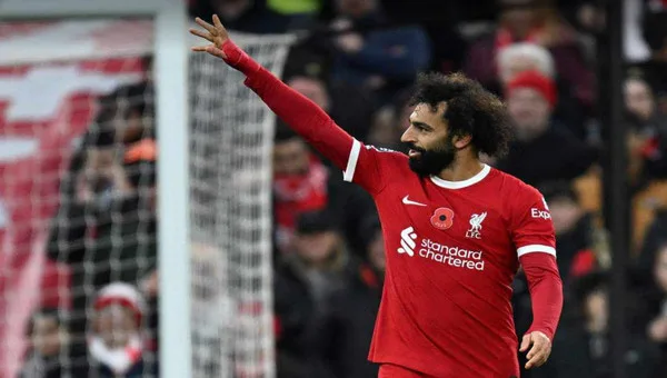 حصاد المحترفين المصريين في عام 2023